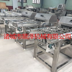 順澤機械速凍玉米切段機產(chǎn)品報價與設(shè)備特性解析